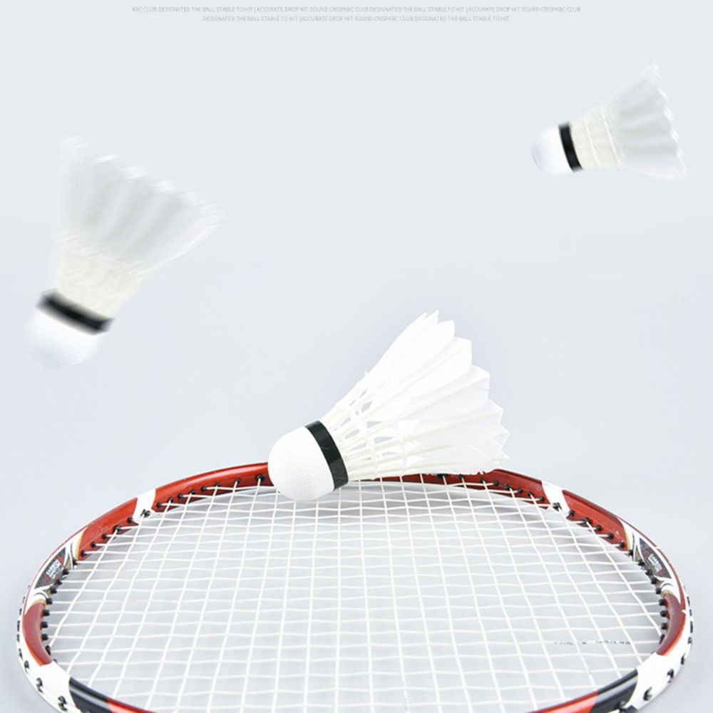 3/6/12 Buah Shuttlecock Bulu T - Badminton Event ulasan dan harga