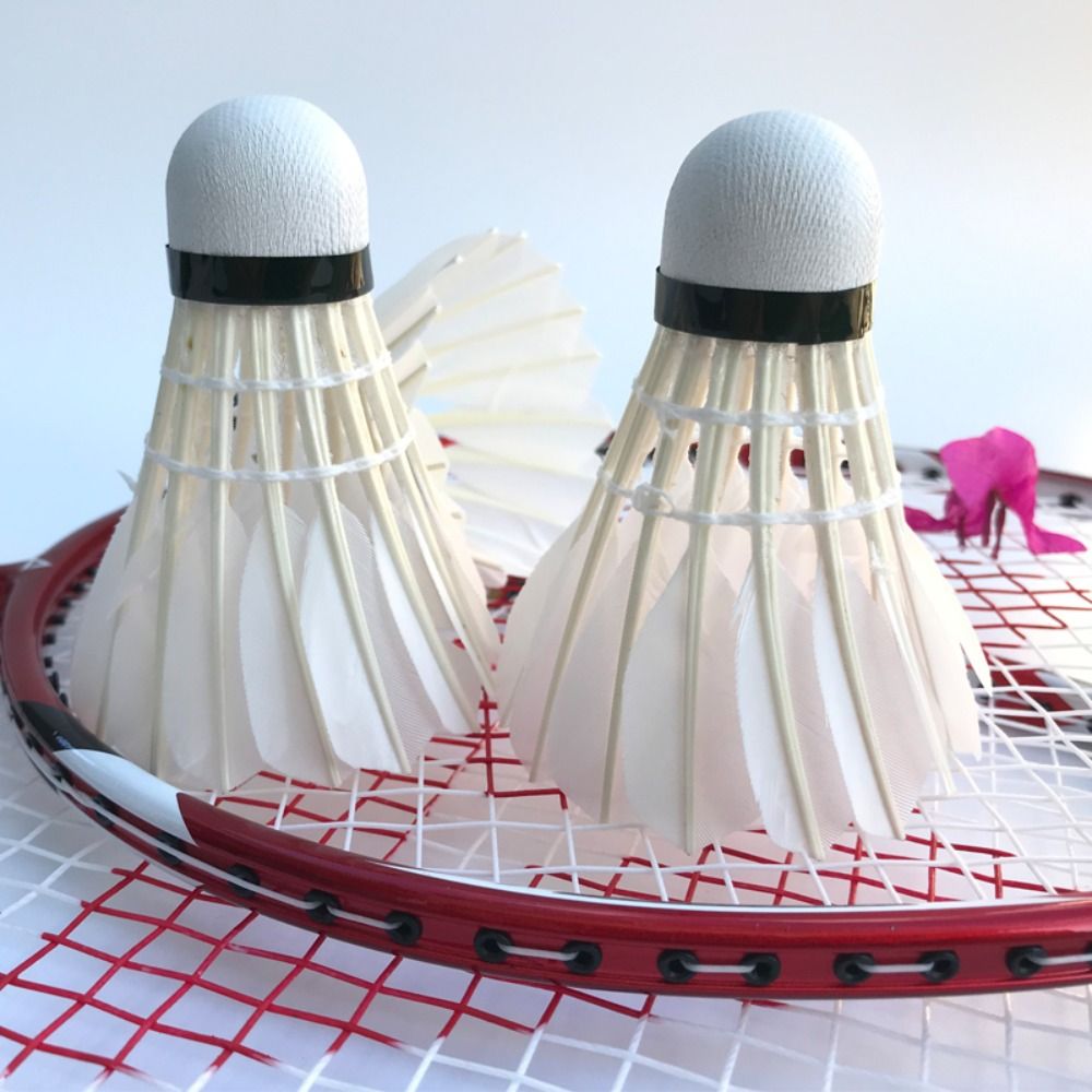 3/6/12 Buah Shuttlecock Bulu T - Badminton Event ulasan dan harga